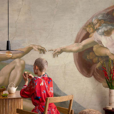 Non-woven wall mural Spiritual contact