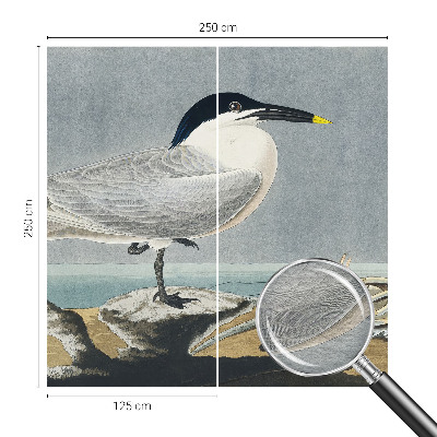 Modern wall mural for bedroom Ornithological elegance