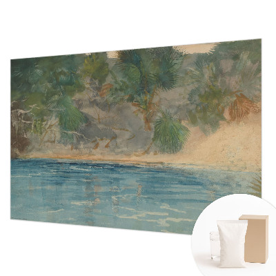 Premium wall mural for bedroom Tropical shore