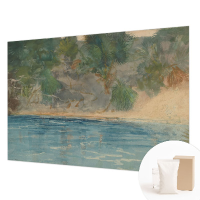Premium wall mural for bedroom Tropical shore