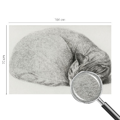 Non-woven photo wallpaper Curled up cat