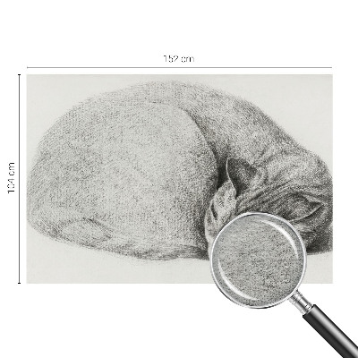 Non-woven photo wallpaper Curled up cat