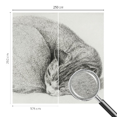Non-woven photo wallpaper Curled up cat