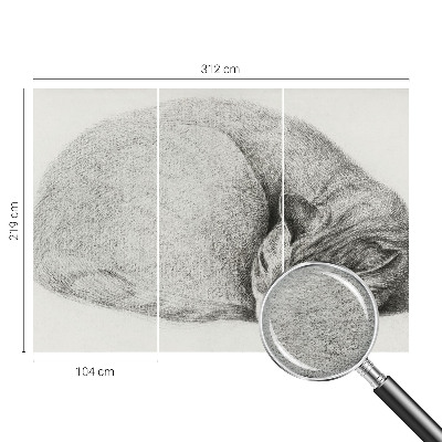 Non-woven photo wallpaper Curled up cat