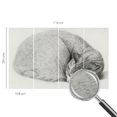 Non-woven photo wallpaper Curled up cat