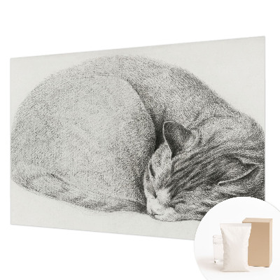 Non-woven photo wallpaper Curled up cat