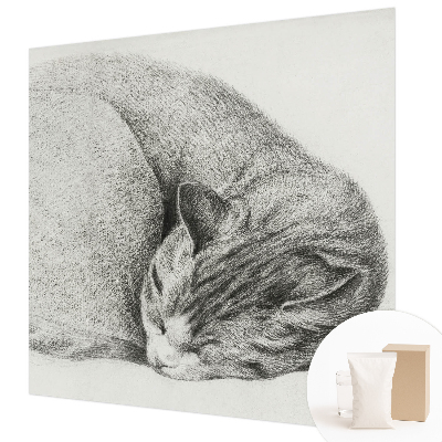 Non-woven photo wallpaper Curled up cat