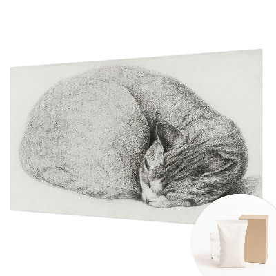 Non-woven photo wallpaper Curled up cat