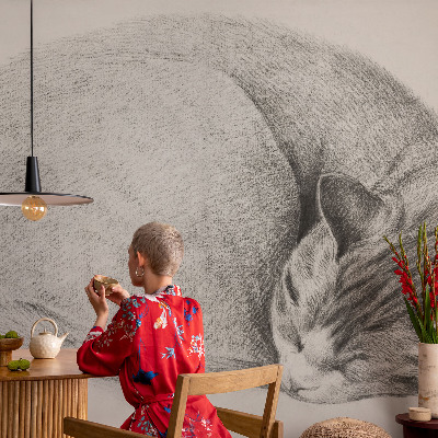Non-woven photo wallpaper Curled up cat