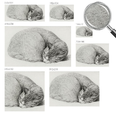 Non-woven photo wallpaper Curled up cat