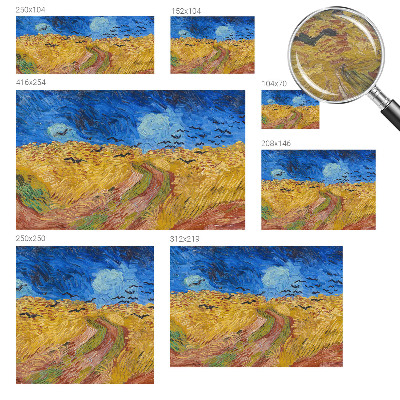 Photo wall mural Field landscape