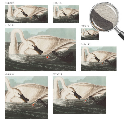 Wall mural for bedroom Harmony of nature