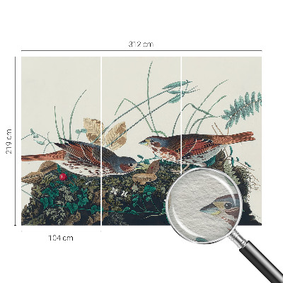 Wall mural for living room The charm of nature