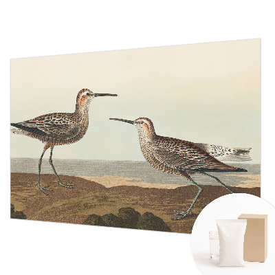 Modern wall mural for living room Bird silhouettes