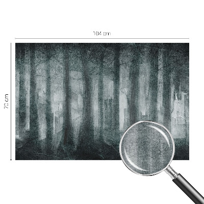 Modern wall mural Mysterious forest