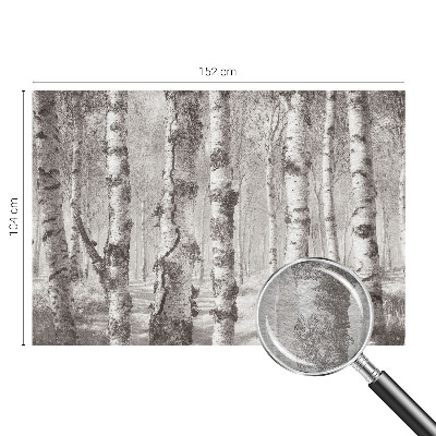 Photo wallpaper Birch forest
