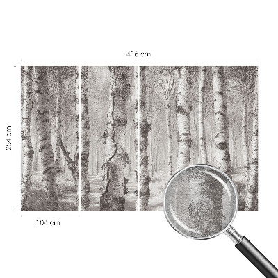 Photo wallpaper Birch forest