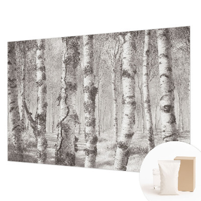 Photo wallpaper Birch forest