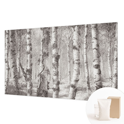 Photo wallpaper Birch forest