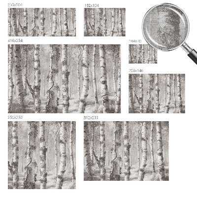 Photo wallpaper Birch forest