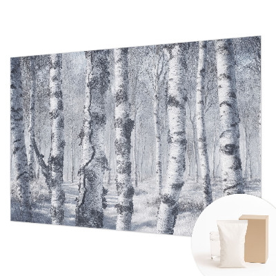 Photo wall mural Frosty nature