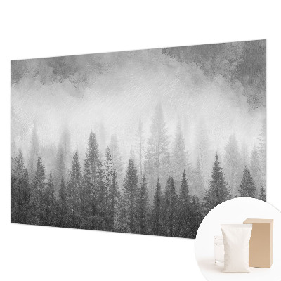 Modern wall mural for living room Forest fog