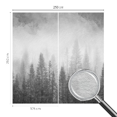 Modern wall mural for living room Forest fog