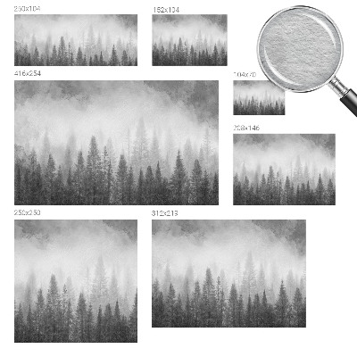 Modern wall mural for living room Forest fog