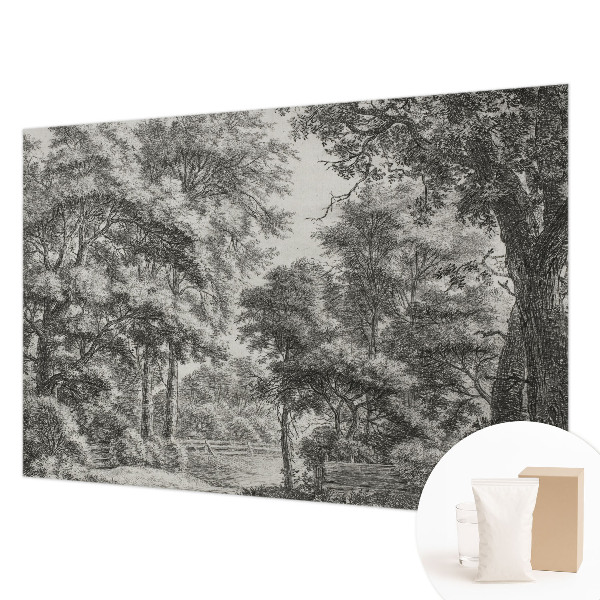 Non-woven wall mural Forest scenery