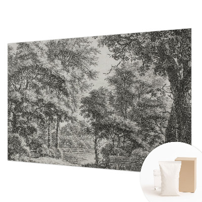 Non-woven wall mural Forest scenery