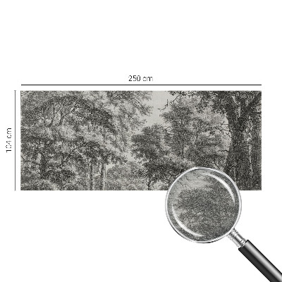 Non-woven wall mural Forest scenery