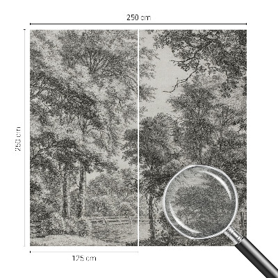 Non-woven wall mural Forest scenery