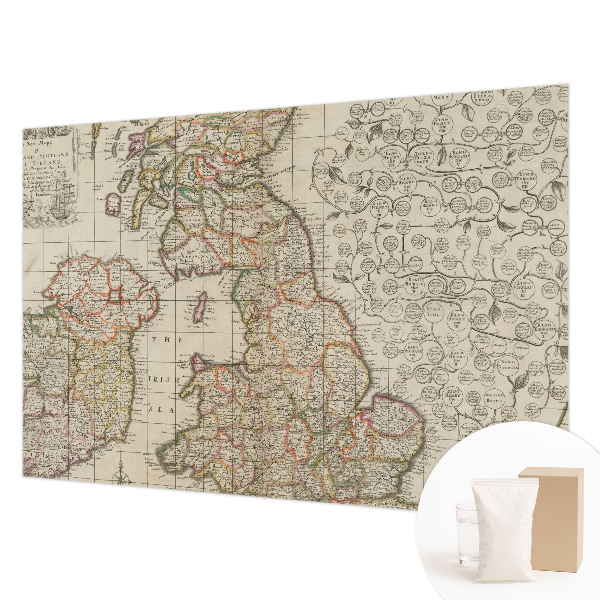 Large wall mural Antique map