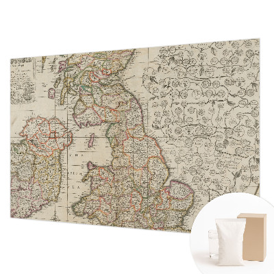 Large wall mural Antique map