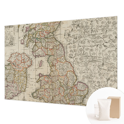 Large wall mural Antique map