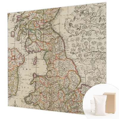 Large wall mural Antique map