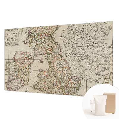 Large wall mural Antique map