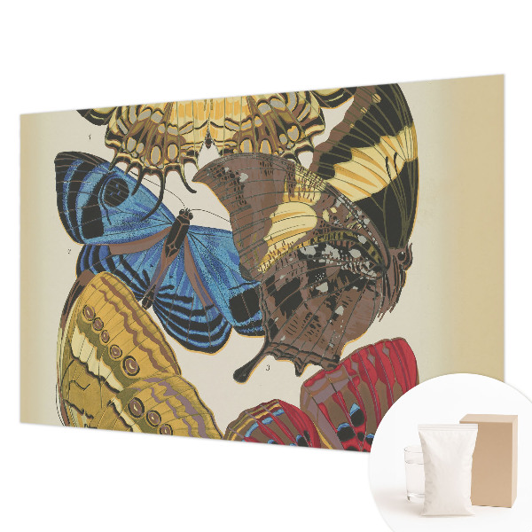 Modern wall mural Butterflies inspiration