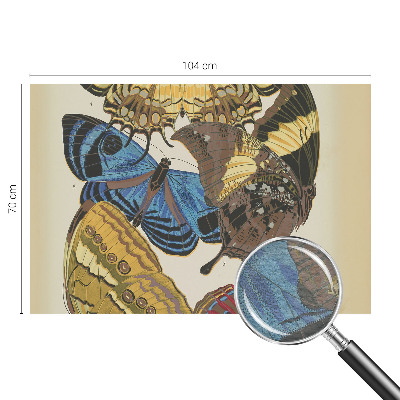 Modern wall mural Butterflies inspiration