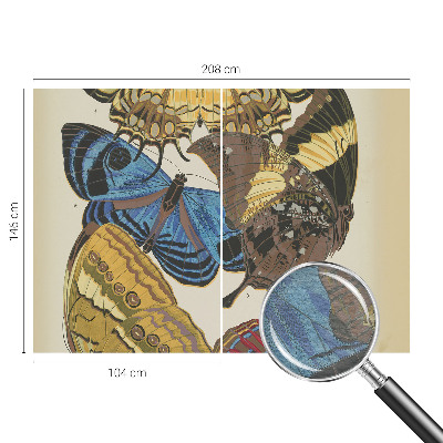 Modern wall mural Butterflies inspiration