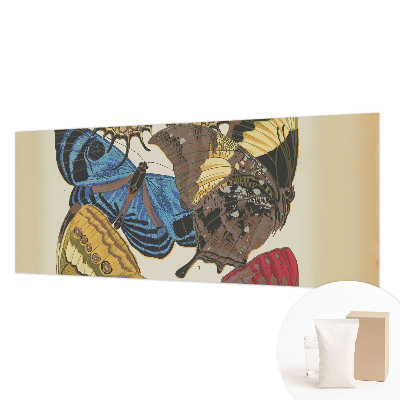 Modern wall mural Butterflies inspiration