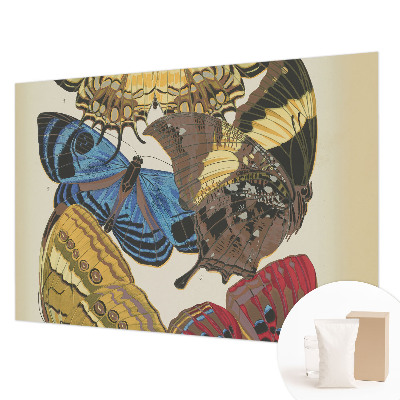 Modern wall mural Butterflies inspiration