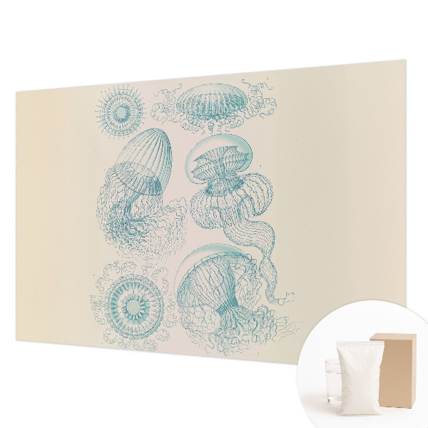 Modern wall mural for living room Sea jellyfish