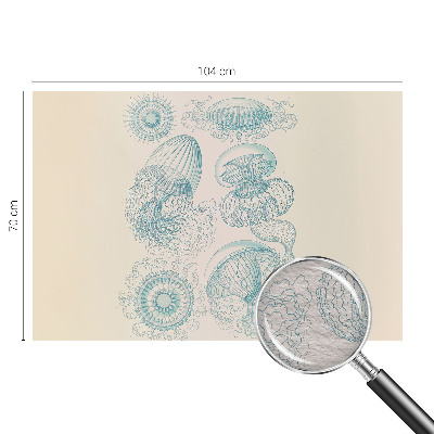 Modern wall mural for living room Sea jellyfish