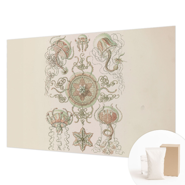 High quality photo wallpaper Underwater world