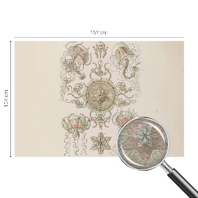 High quality photo wallpaper Underwater world