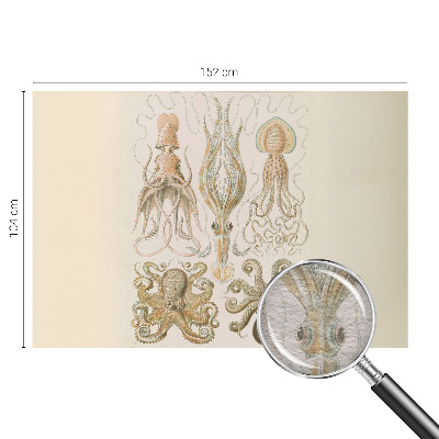 High quality wall mural wallpaper Sea life