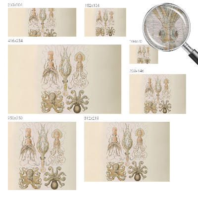 High quality wall mural wallpaper Sea life