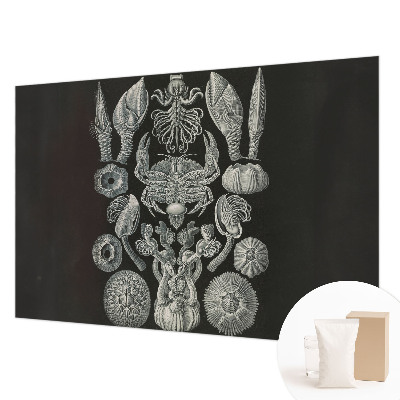 Premium wall mural for bedroom Underwater forms
