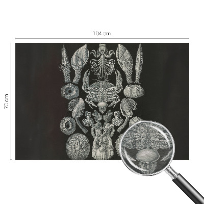 Premium wall mural for bedroom Underwater forms